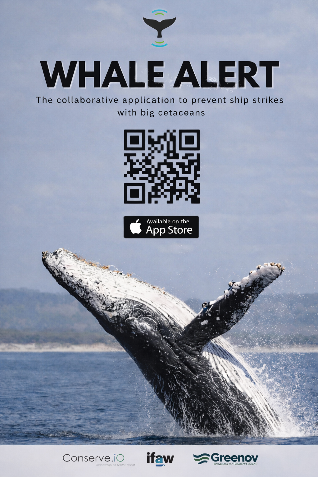 Campagne de sensibilisation estivale d’une application « Whale Alert »